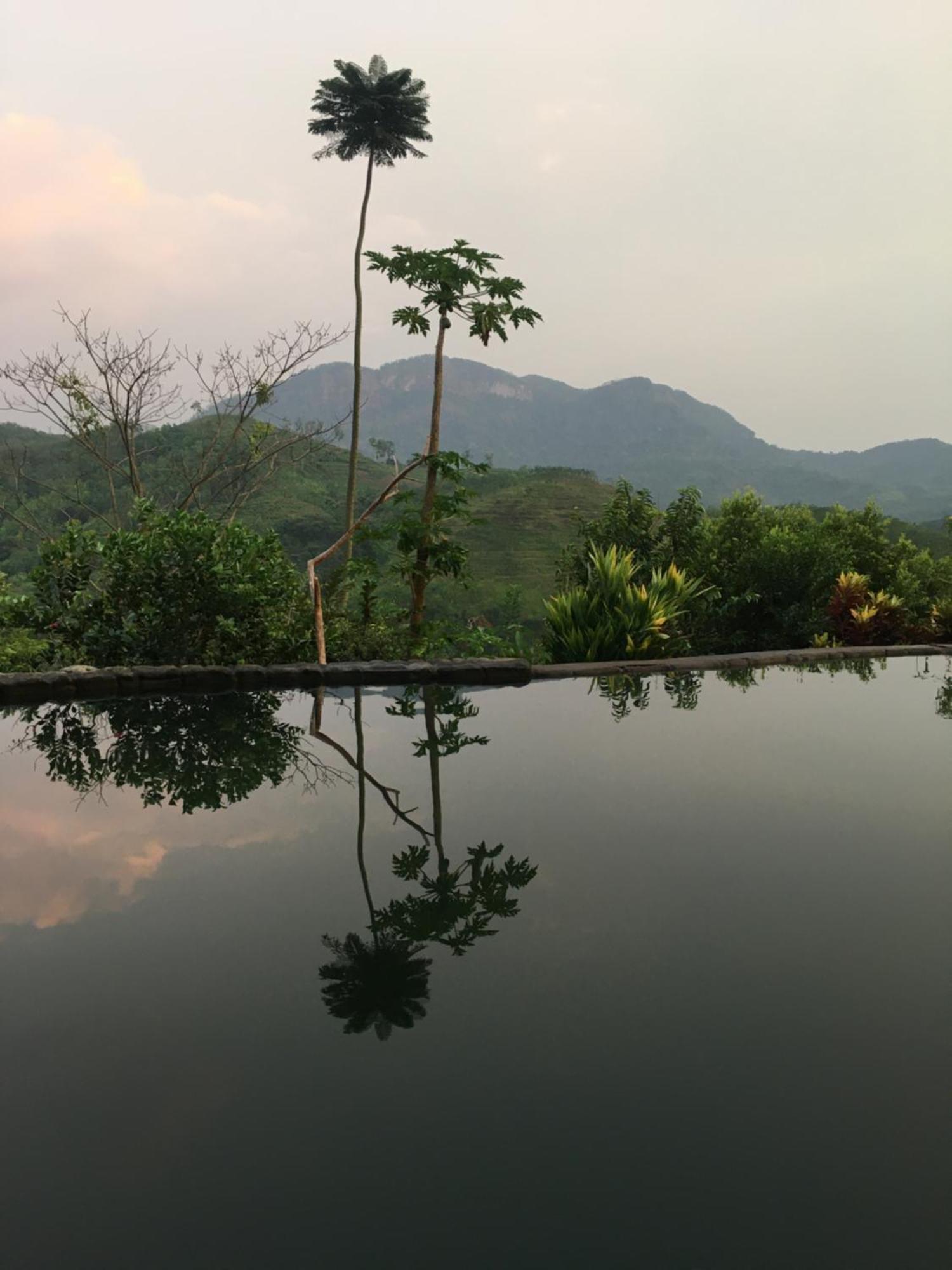 Paradise Eco Garden Кітулґала Екстер'єр фото