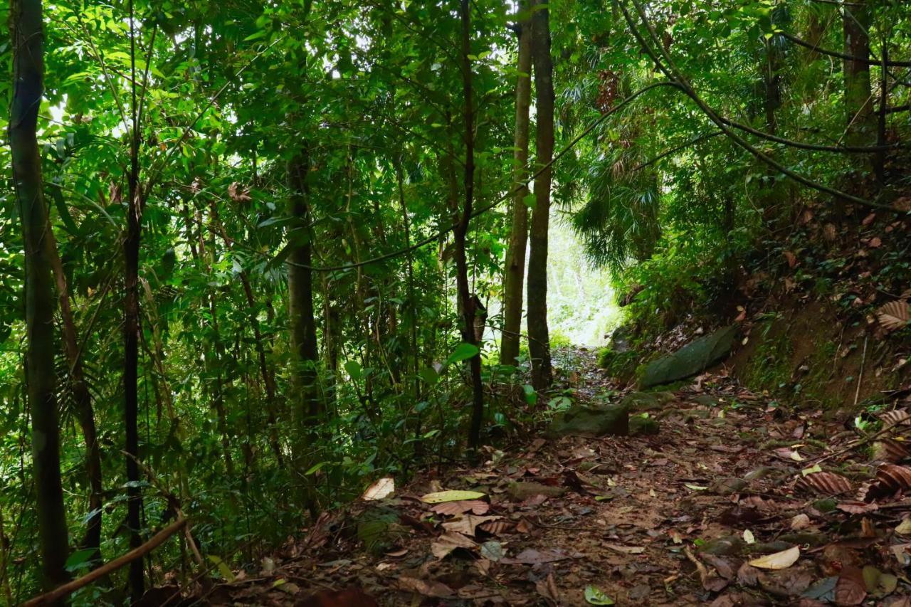 Paradise Eco Garden Кітулґала Екстер'єр фото