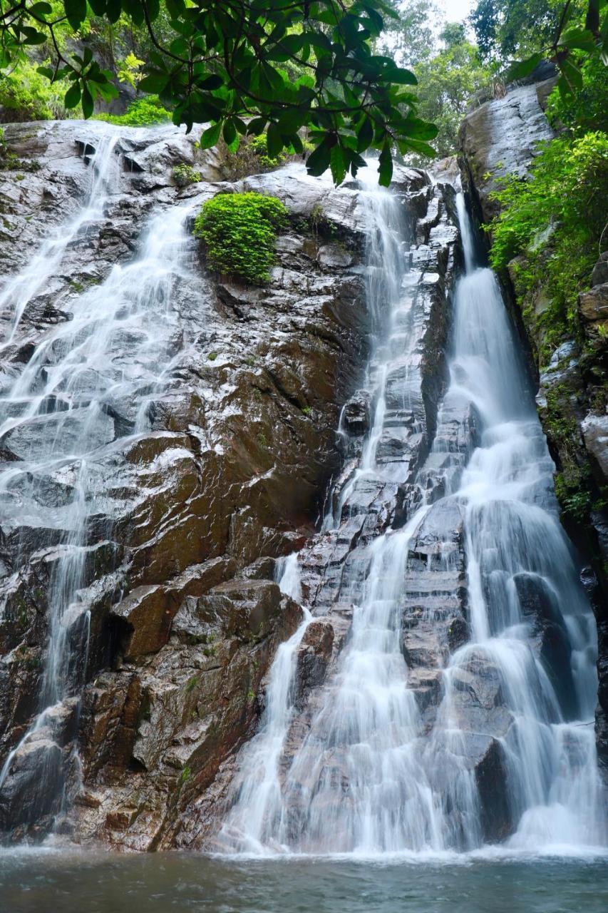 Paradise Eco Garden Кітулґала Екстер'єр фото